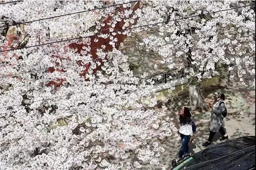 圖片17.jpg