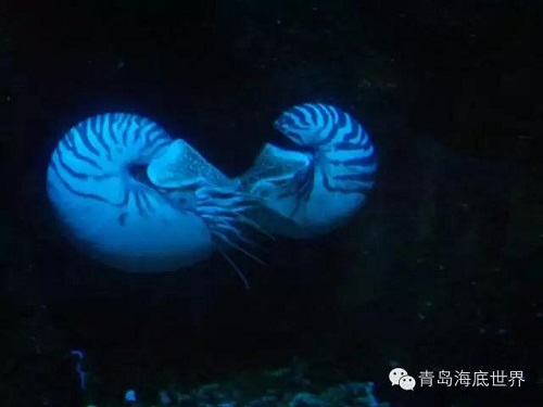圖片6.jpg