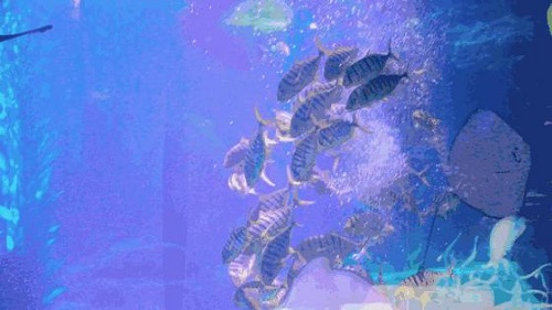圖片25.jpg
