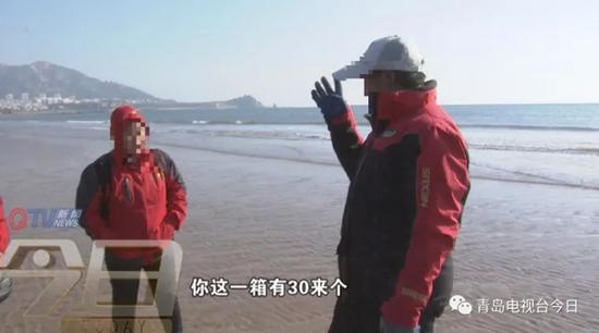 青島市民組團挖海知了 專家:再吃又要滅絕了