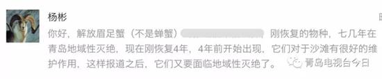 青島市民組團挖海知了 專家:再吃又要滅絕了