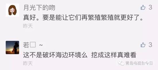 青島市民組團挖海知了 專家:再吃又要滅絕了