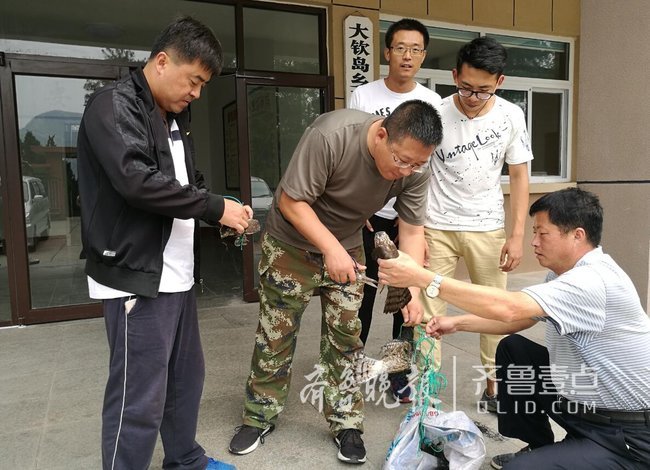 長島縣大欽島鄉深化愛鳥月活動，放飛猛禽10余只