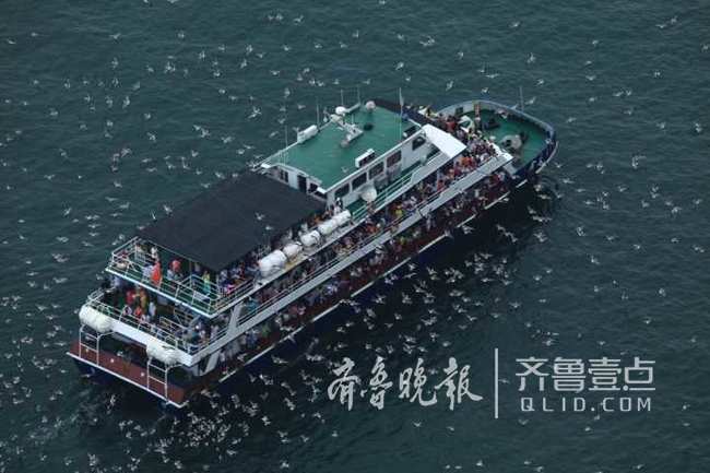 國內智庫