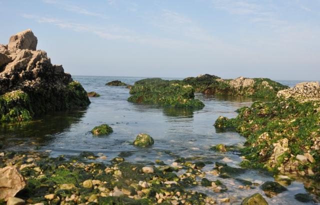 北方最美海島