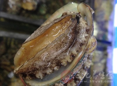 不新鮮海產品，避免食物中毒