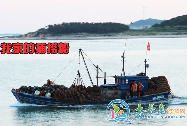 騰飛2