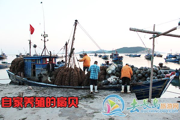 騰飛漁家