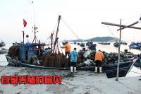 騰飛1